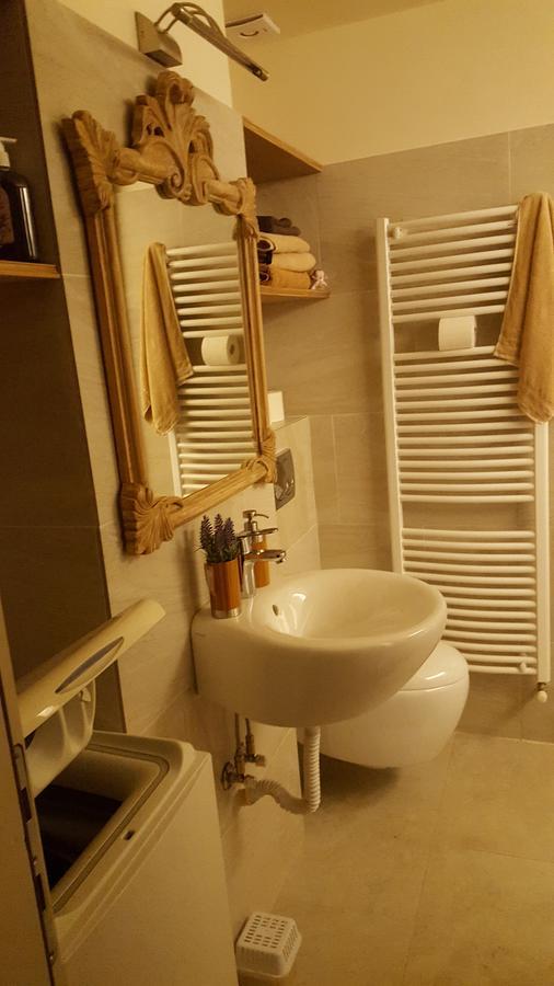 Apartment Vintige Клуж-Напока Екстериор снимка