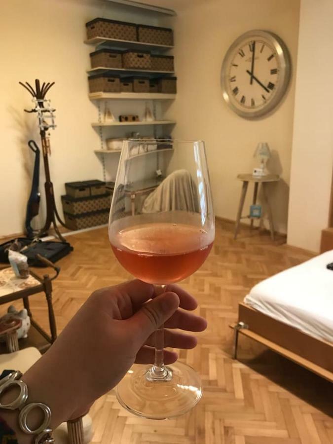 Apartment Vintige Клуж-Напока Екстериор снимка