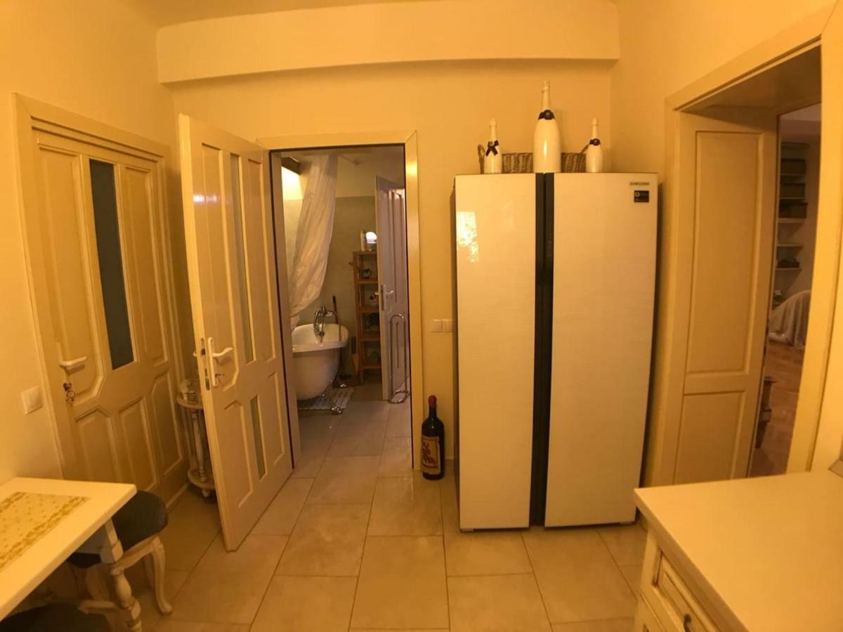 Apartment Vintige Клуж-Напока Екстериор снимка